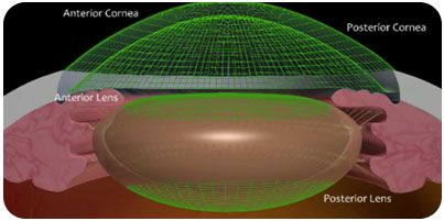 anterior-cornea